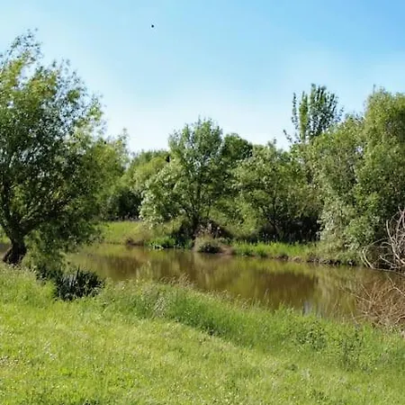 Le Clos De L'authion * Vivy