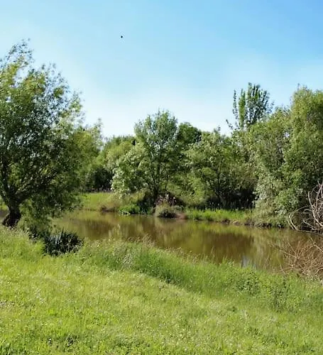 Le Clos De L'authion * Vivy